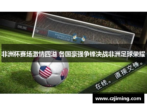 非洲杯赛场激情四溢 各国豪强争锋决战非洲足球荣耀